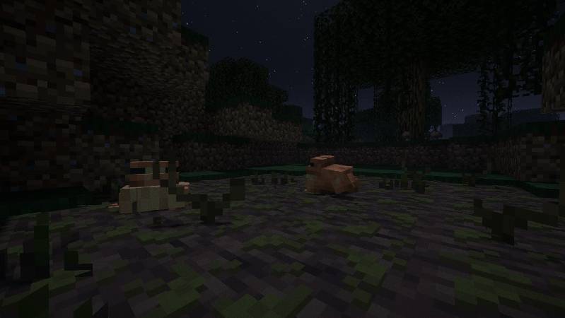 Скриншот мода Beneath the Wetlands #10