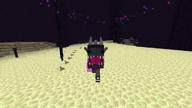 Скриншот мода Better Ender Dragon #8
