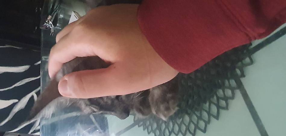 Скриншот мода Born In Configuration #2