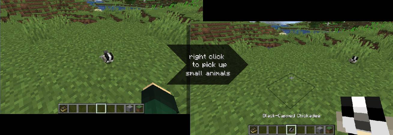 Скриншот мода Chirpy's Wildlife #2