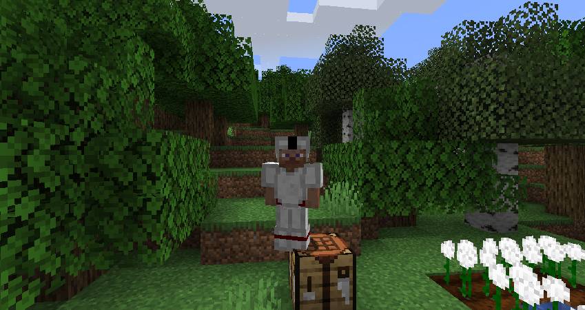 Скриншот мода Cottonly #3