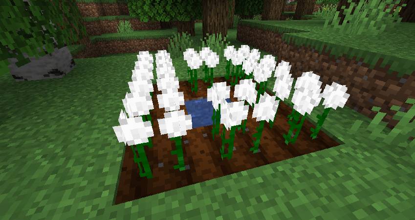 Скриншот мода Cottonly #4