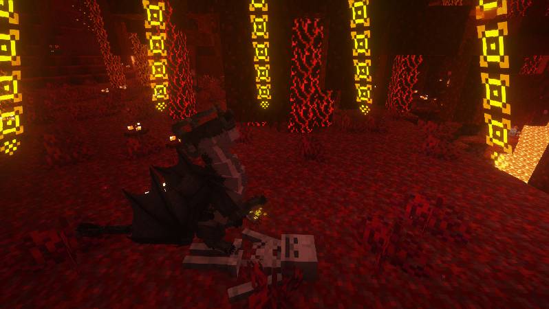 Скриншот мода Dragon Survival #8