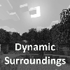 Логотип мода Dynamic Surroundings: Fabric Edition