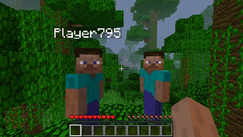 Скриншот мода Hide Names #1