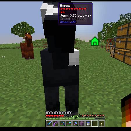 Скриншот мода Hwyla Addon Horse Info #1