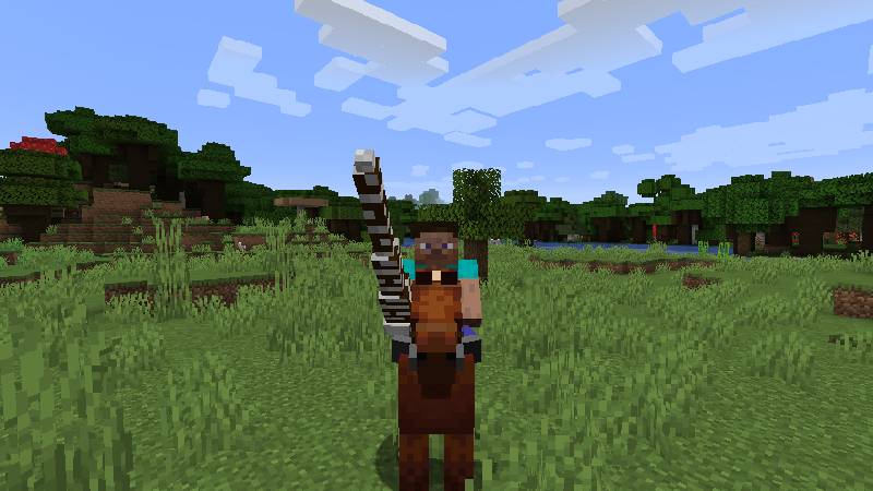 Скриншот мода Jousting #1