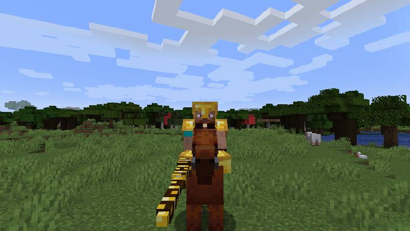 Скриншот мода Jousting #3