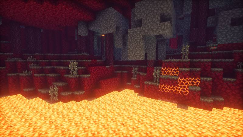 Скриншот мода [Let's Do] NetherVinery (unsupported) #2