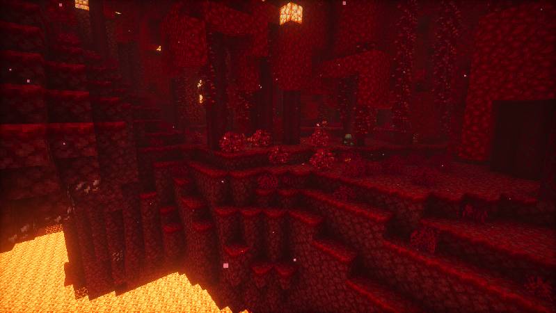 Скриншот мода [Let's Do] NetherVinery (unsupported) #3