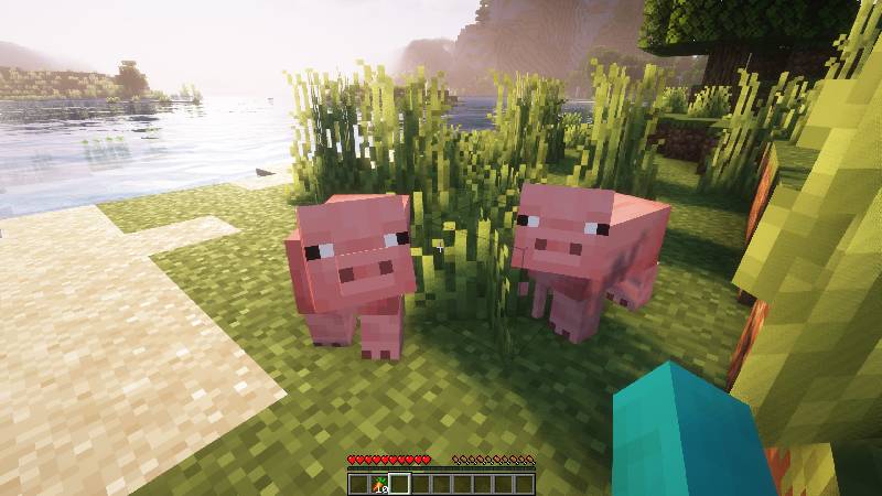 Скриншот мода Longer Following Time #6