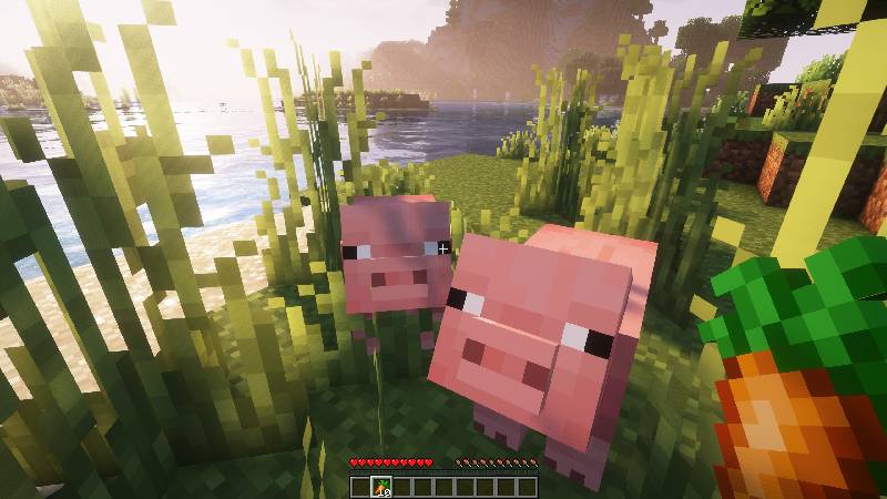 Скриншот мода Longer Following Time #8