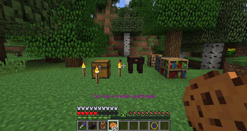 Скриншот мода Lost Magic #3