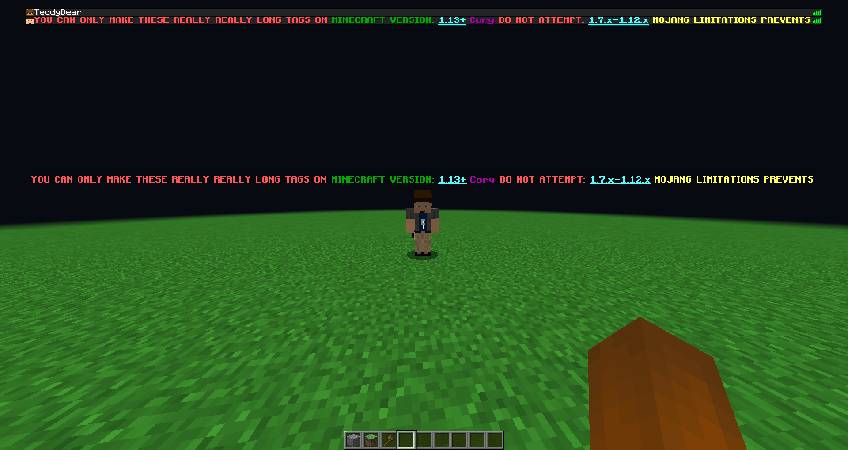 Скриншот мода NametagEdit #3