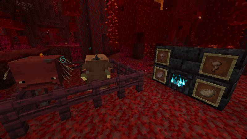 Скриншот мода Nether Agriculture #11