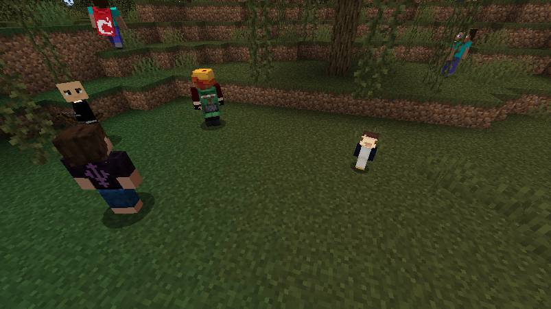 Скриншот мода Player Mobs #1