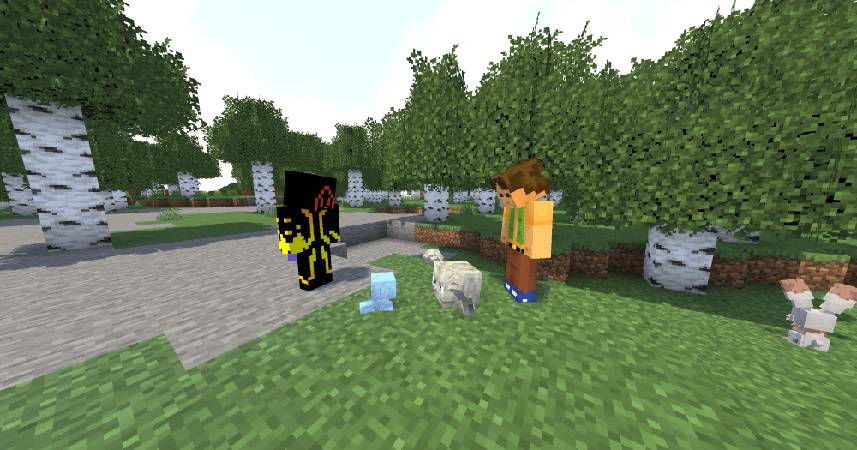 Скриншот мода Radical Cobblemon Trainer Textures Plus #3