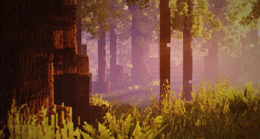 Скриншот мода RedHat Shaders v34.3 #2