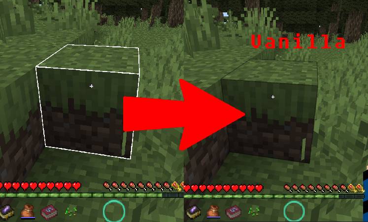 Скриншот мода Restore Block Lines #1