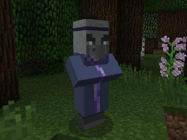 Скриншот мода The Summoner #6