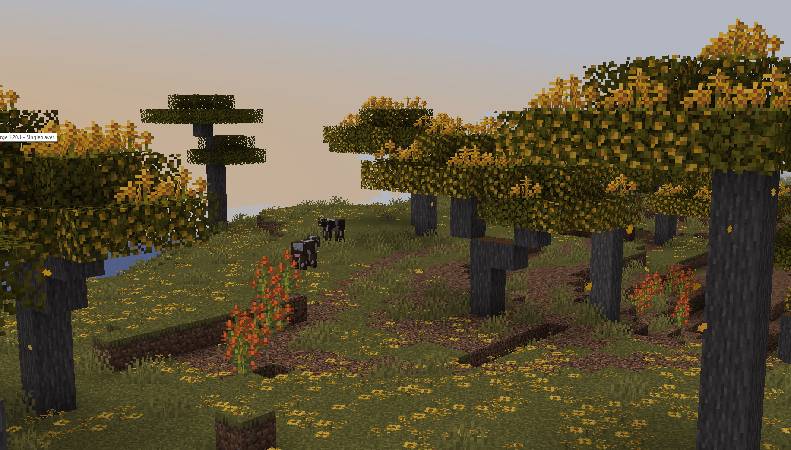 Скриншот мода Windswept! #4