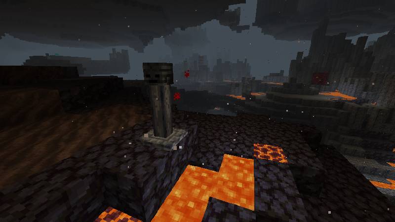 Скриншот мода Wither Skeleton Totem #1